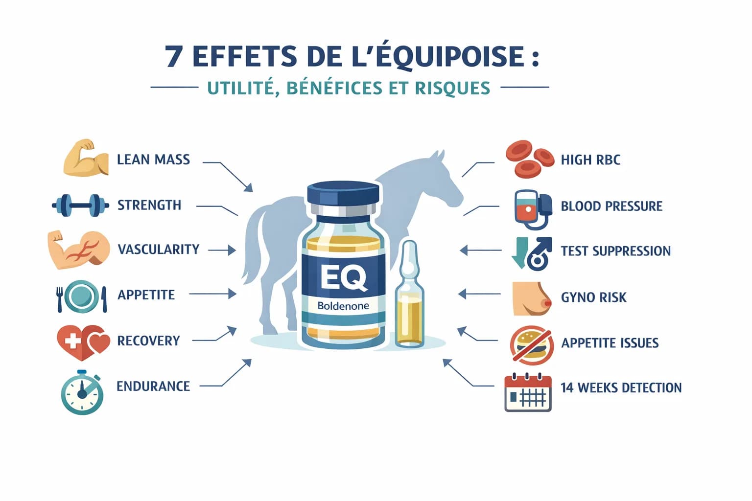 7 Effets de l’Équipoise (Boldénone) : Utilité, Bénéfices et Risques