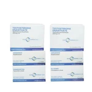 Pack Prise de Masse sèche – Euro Pharmacies – Enanthate / Stanozolol (8 semaines)