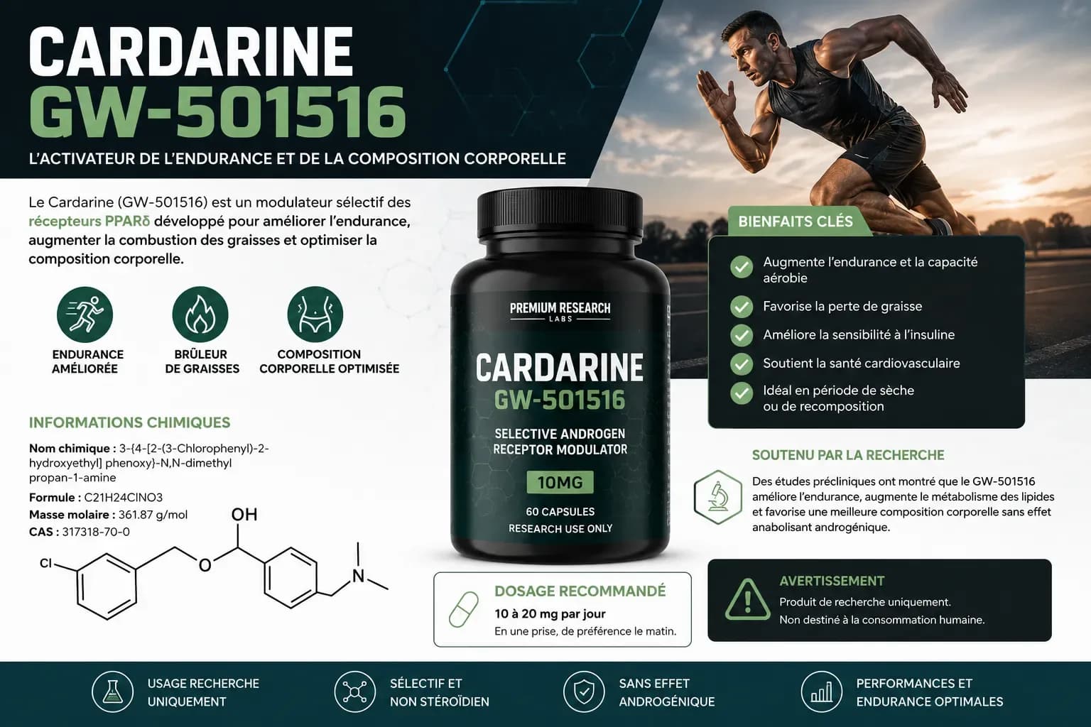 Cardarine (GW-501516) : ce que dit vraiment la recherche