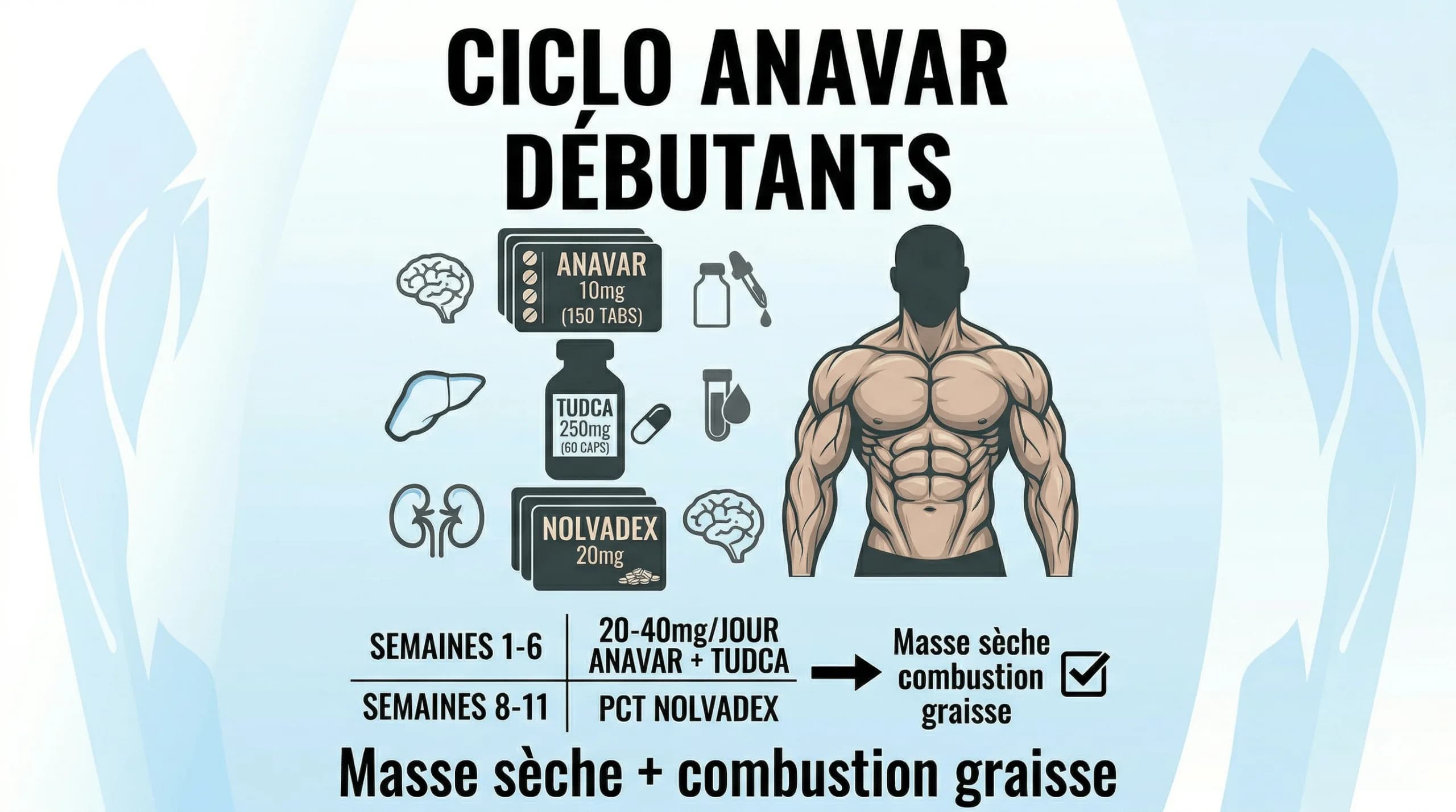Cycle d'Anavar pour la Force (4 semaines)