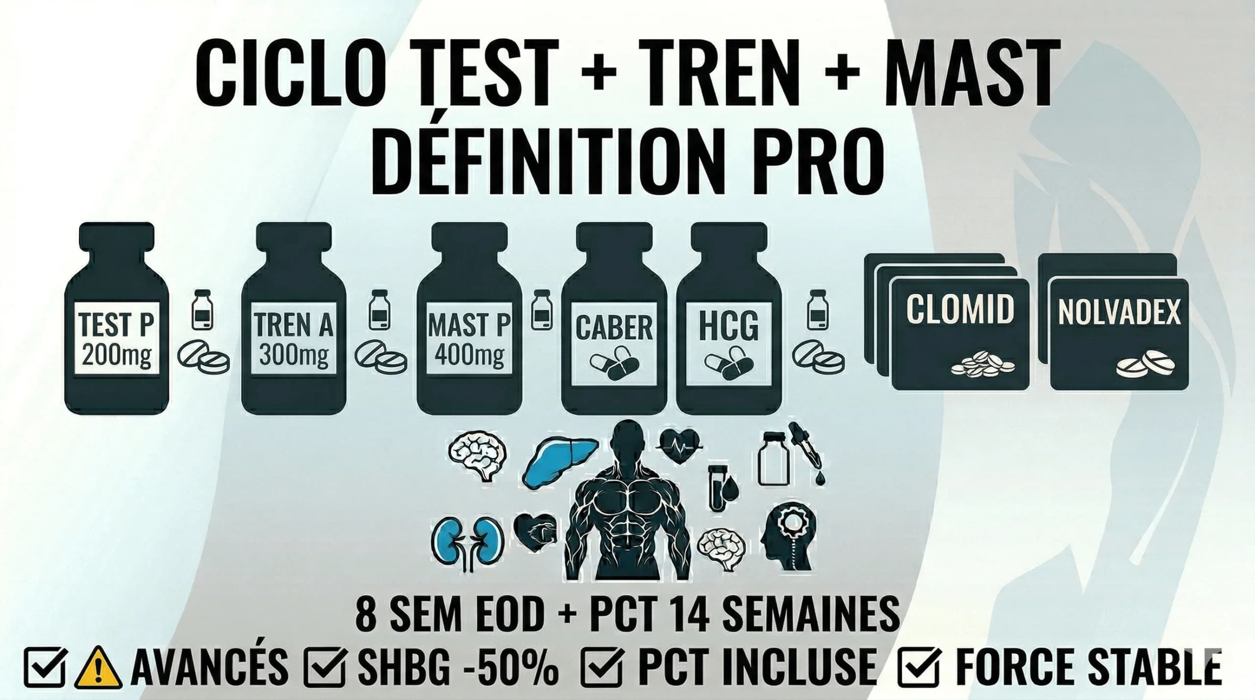 Cycle Testostérone + Trenbolone + Masteron