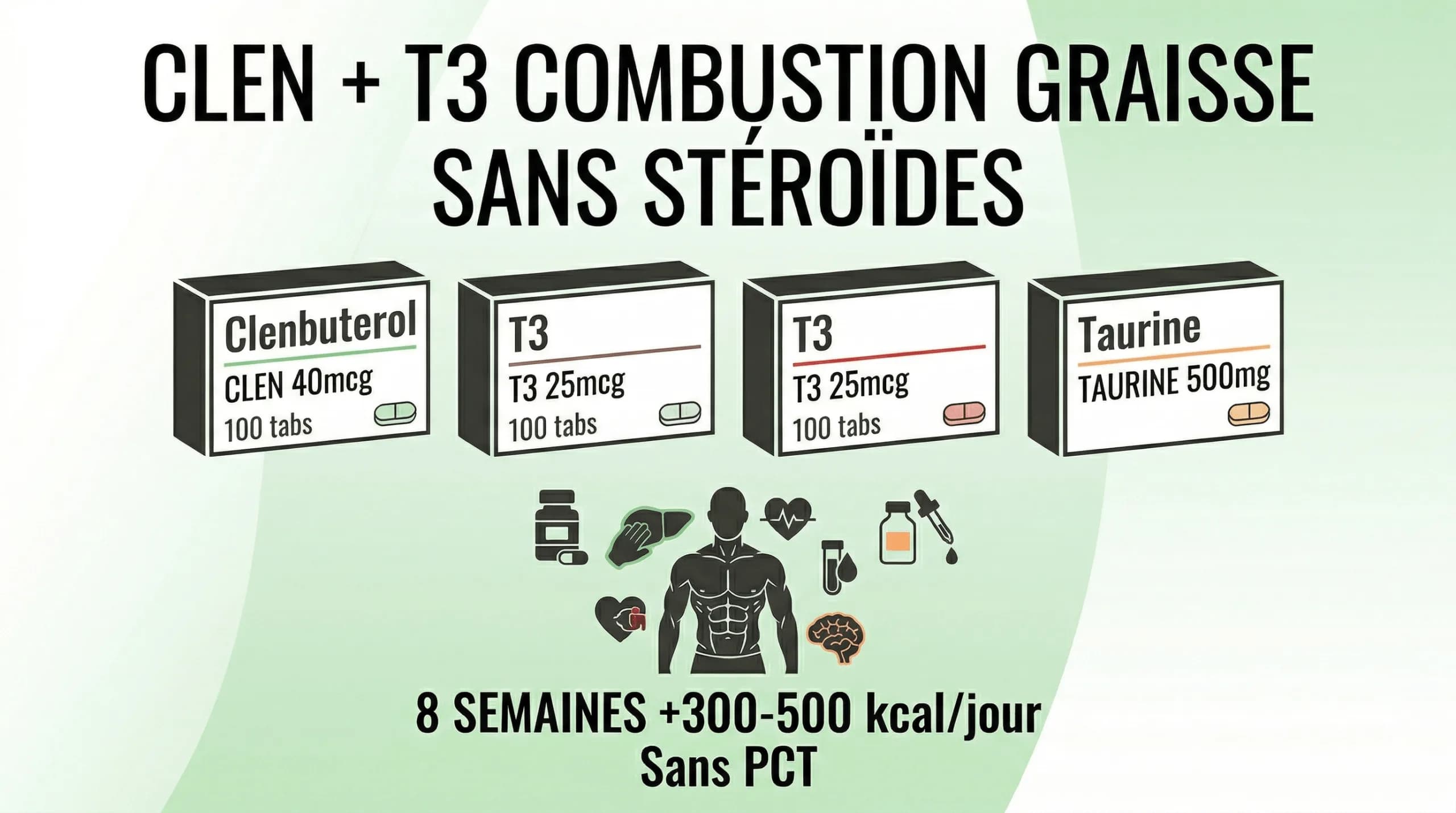 Cycle Clenbuterol + T3 Perte de graisse