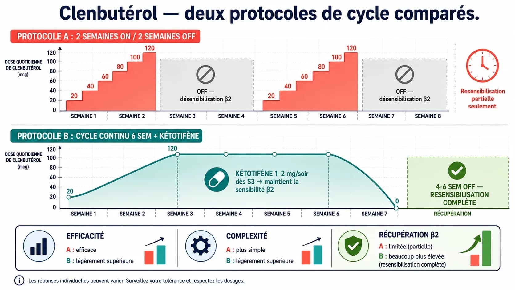 Clenbutérol : dosage, cycles, protocoles