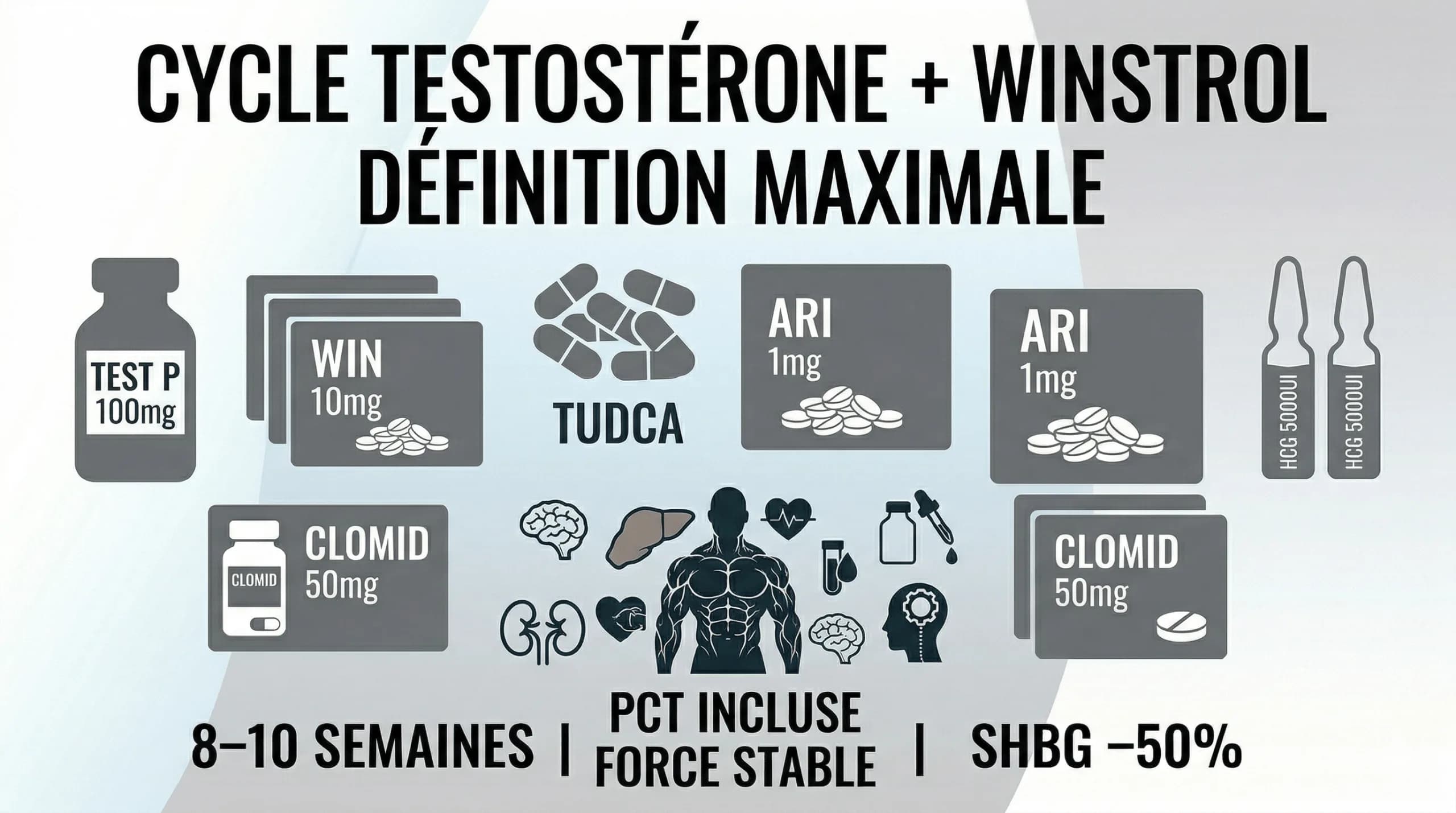 Cycle Testostérone + Winstrol