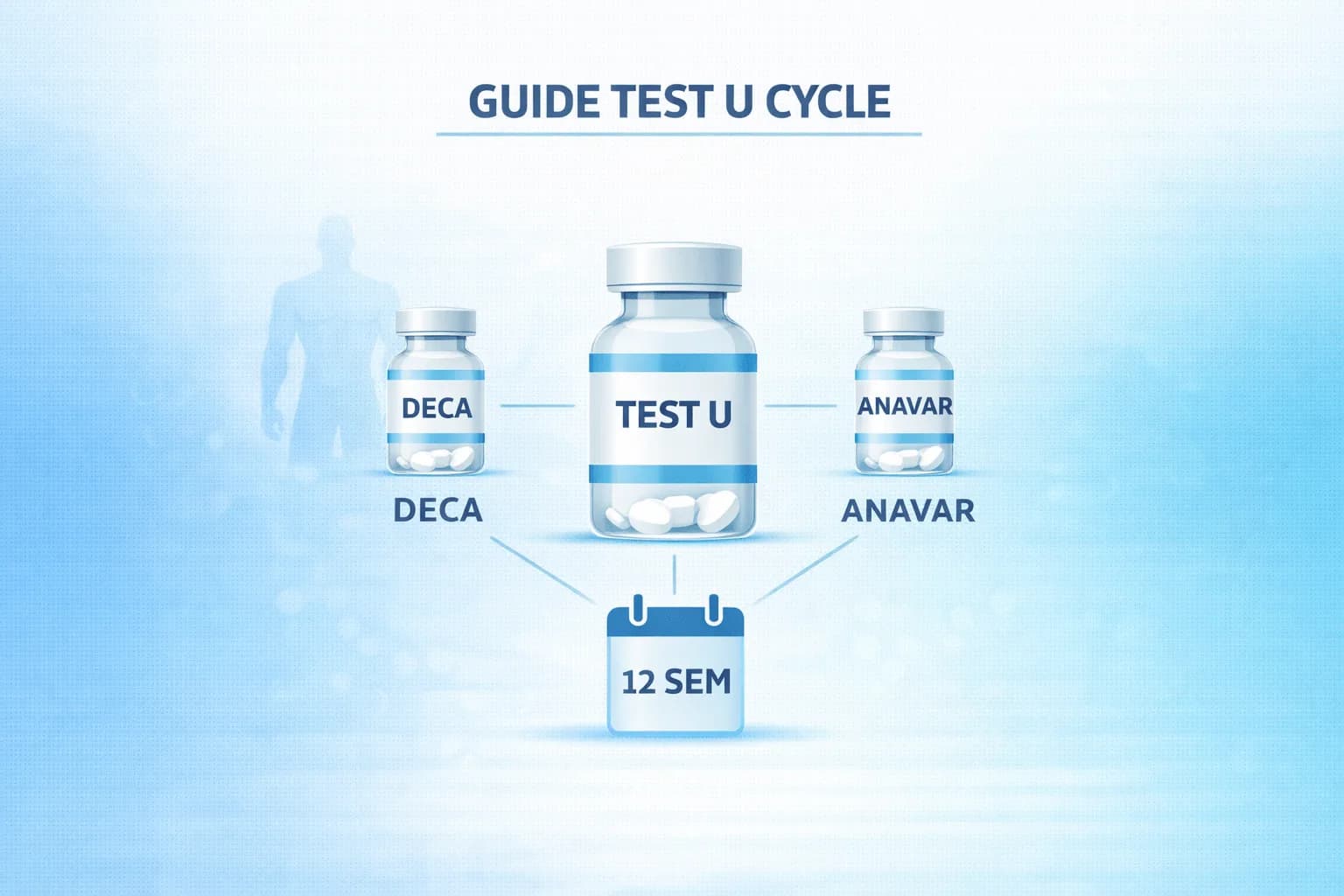 Guide de la Testosterone Undecanoate : Doses, Cycles et Conseils de Combinaison