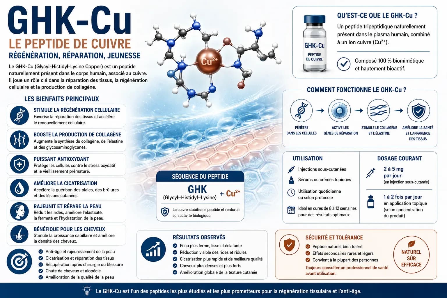 GHK-Cu (peptide de cuivre) : effets, dosage, formulations