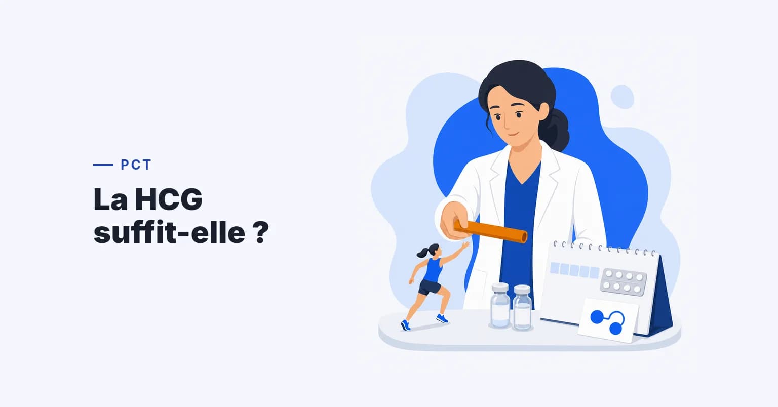 hCG pour la Testostérone : Utilisation en PCT, Dosage et Soutien à la Fertilité