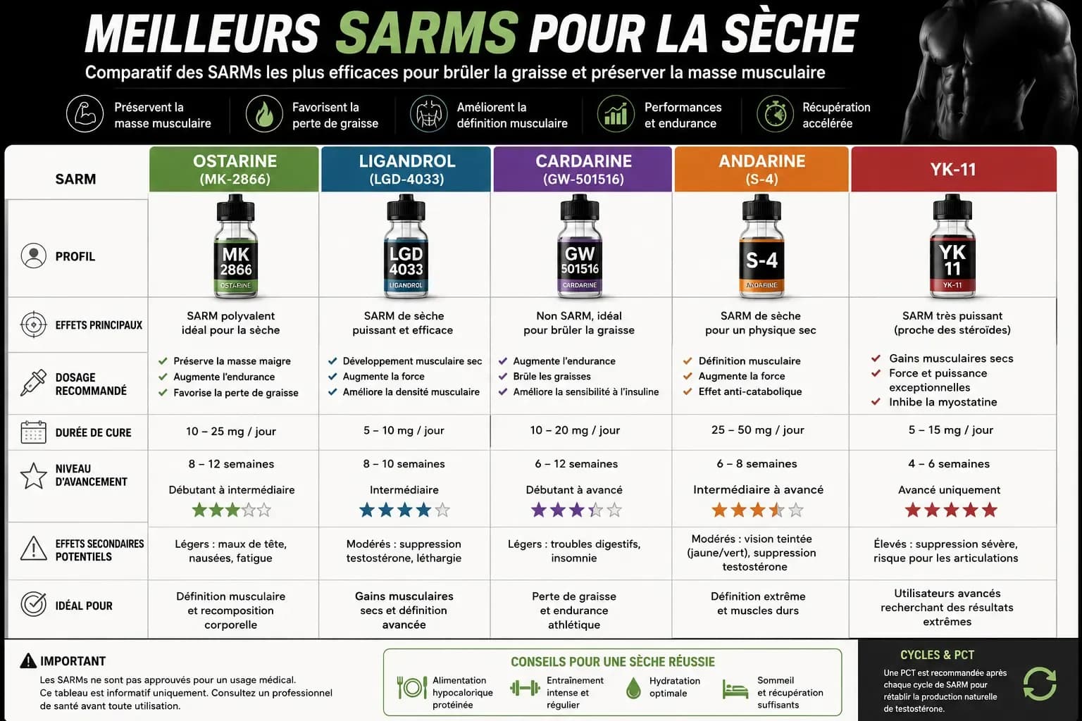 Meilleurs SARMs pour la sèche : le classement honnête