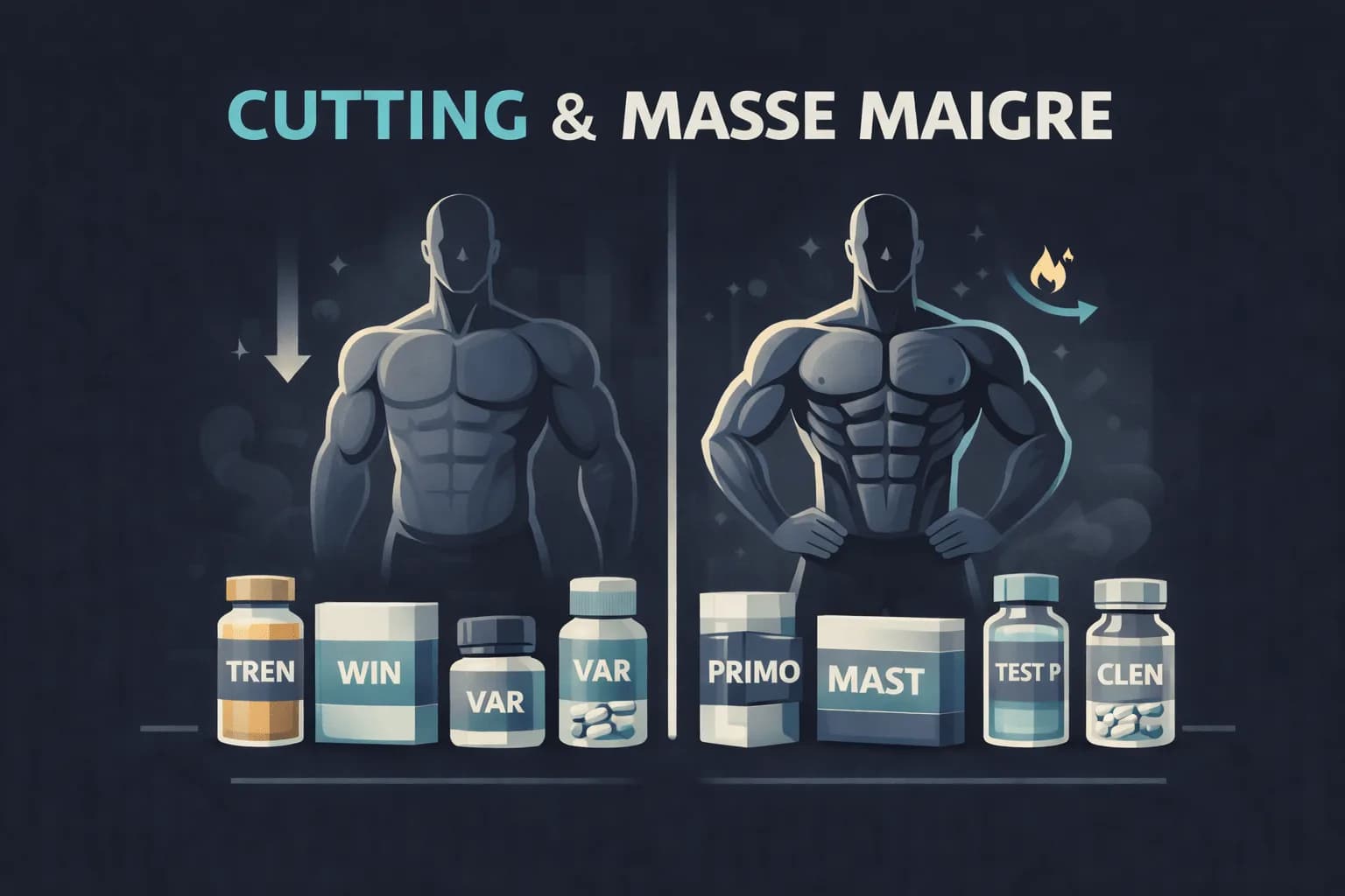 Les meilleurs stéroïdes pour la prise de masse musculaire : un aperçu fondé sur des preuves