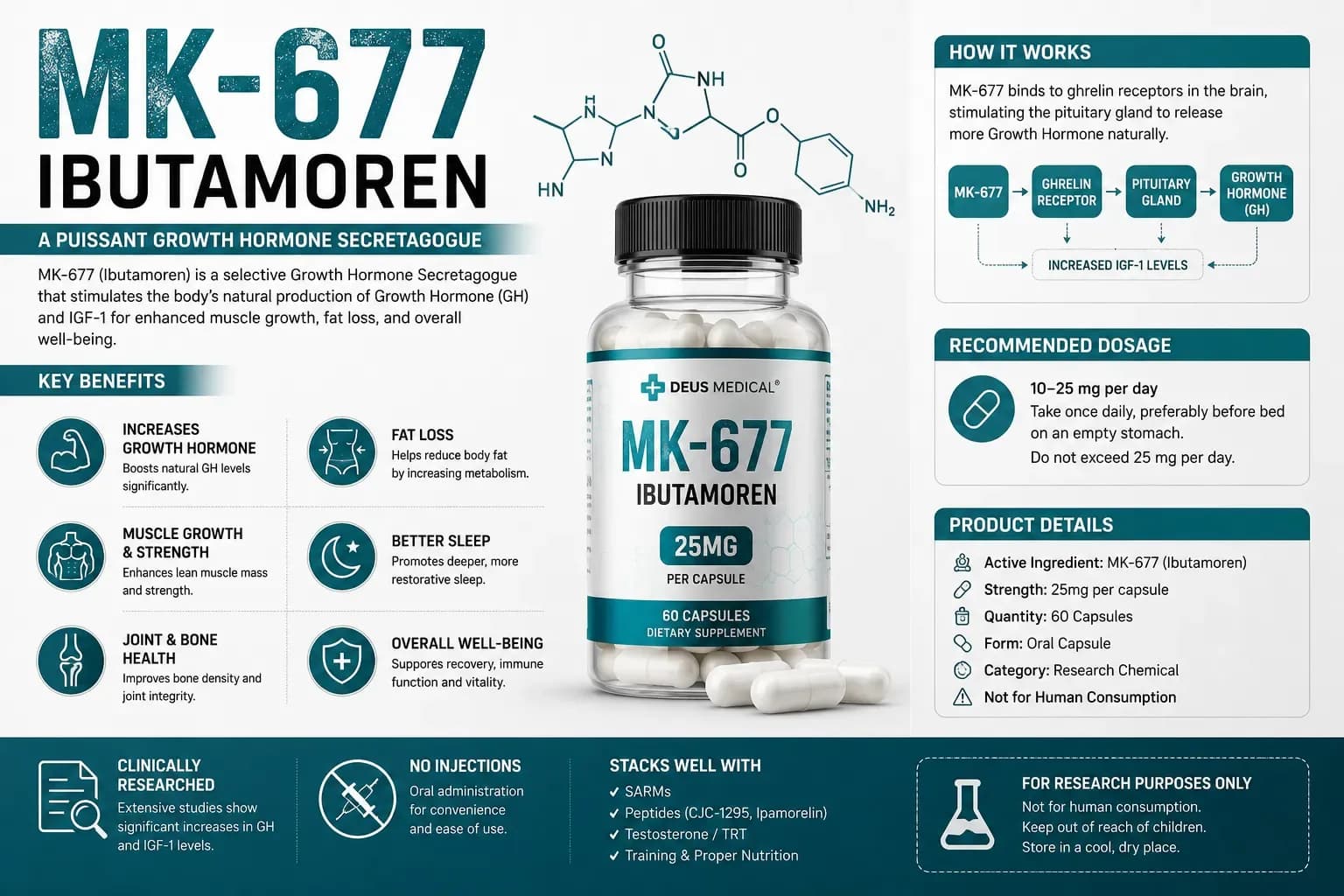 MK-677 (Ibutamoren) : sécrétagogue oral de GH — pas un SARM