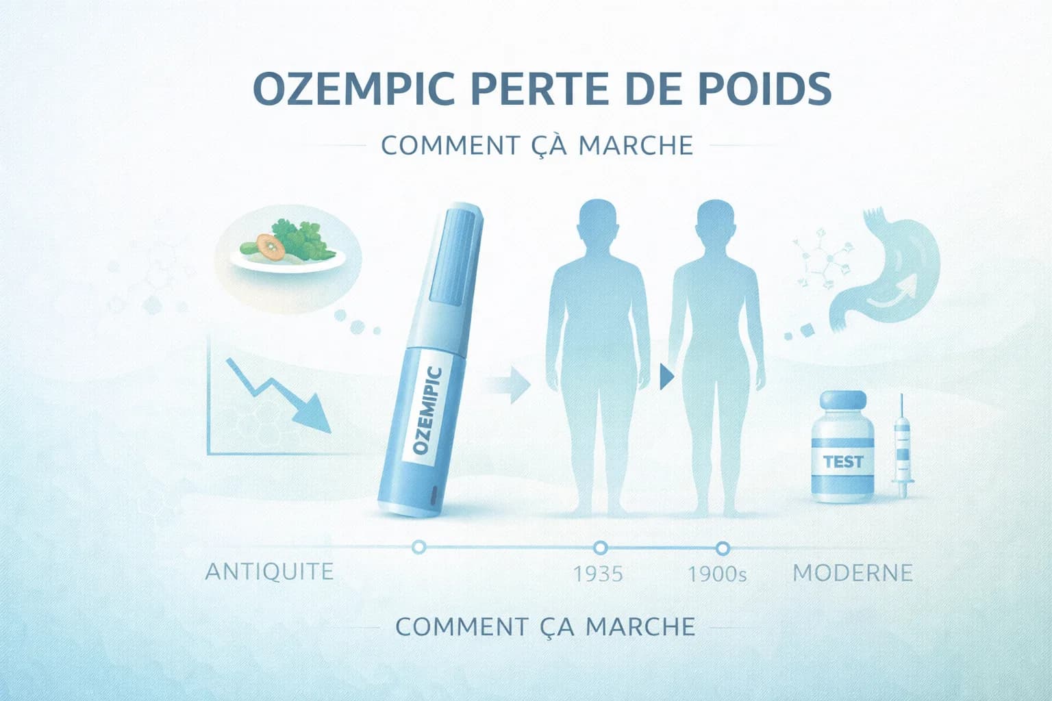 Ozempic pour la perte de poids : comment ça marche, effets secondaires et plus encore
