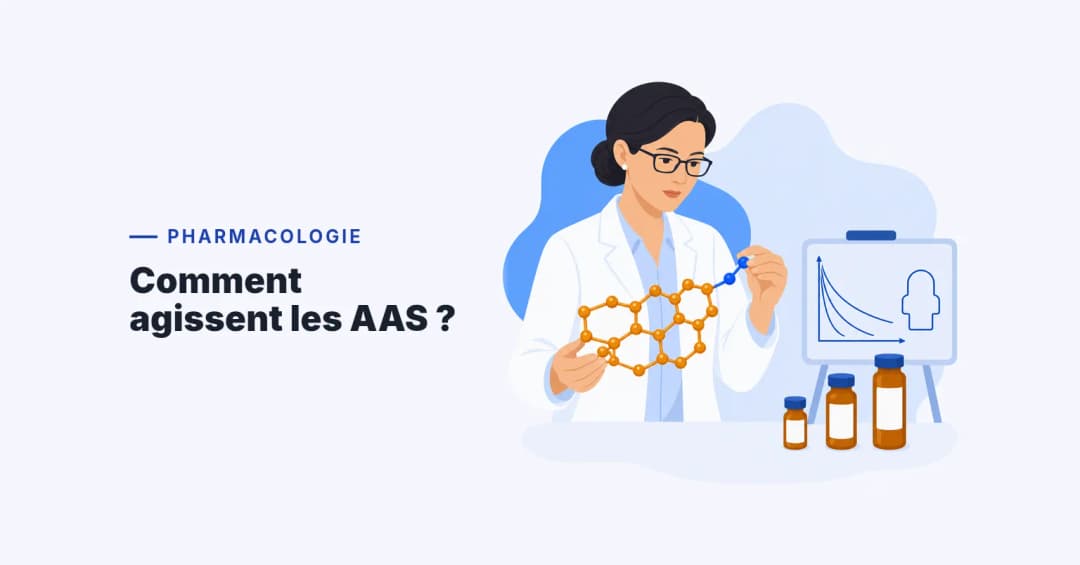 Chercheuse ajoutant un ester à un modèle moléculaire de stéroïde, flacons et courbes de demi-vie, pharmacologie des AAS