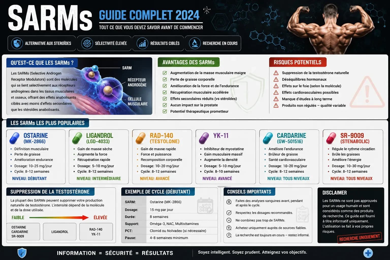 SARMs : guide complet, mécanisme, molécules, risques