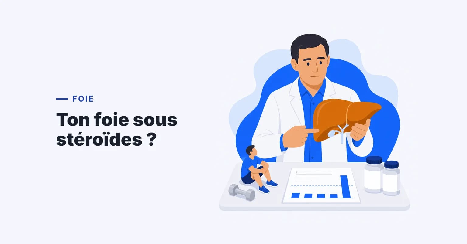 Stéroïdes anabolisants et foie : toxicité, mécanismes, protection