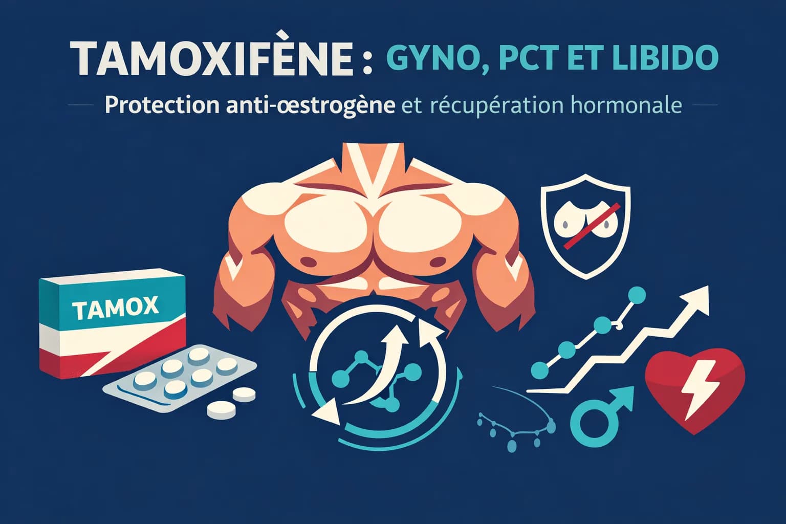 Tamoxifène Bodybuilding : Prévenir Gynécomastie et Booster Libido