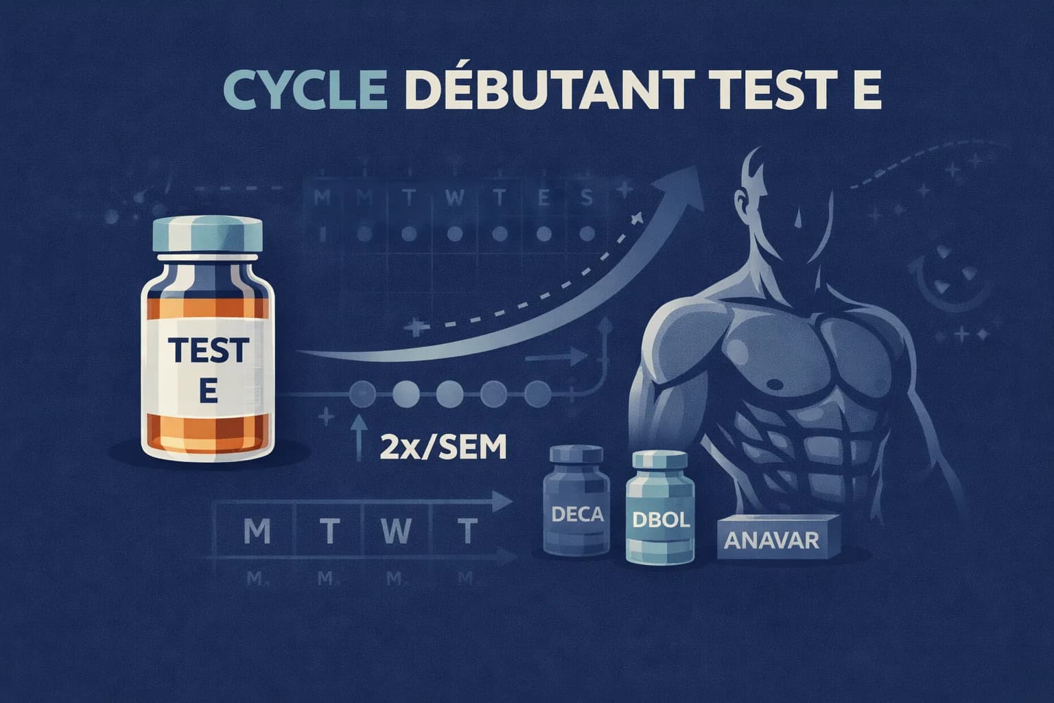 Testostérone Enanthate : Cycles, Dosages et Stacks Débutants