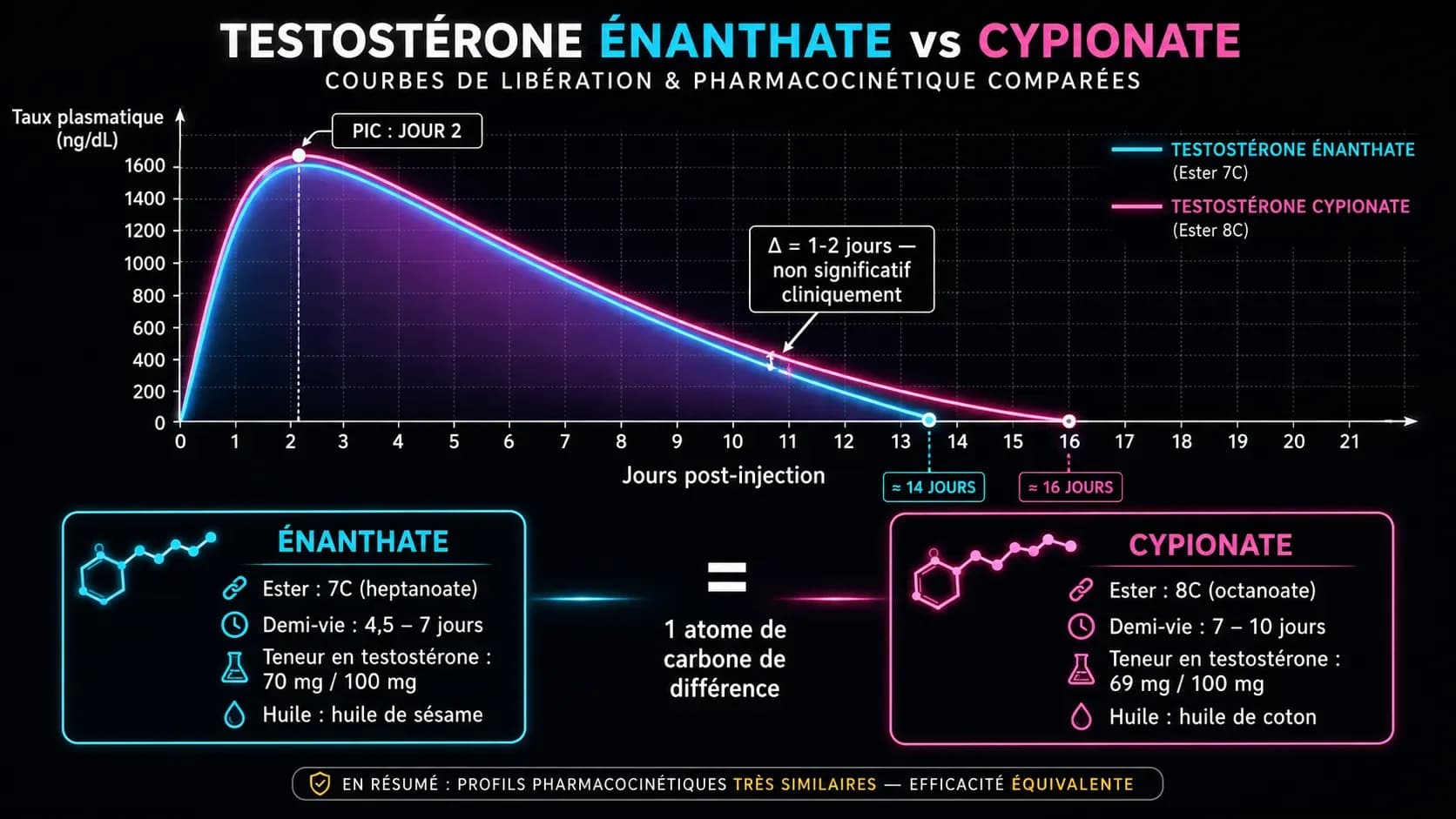 Testostérone énanthate vs cypionate : quelle vraie différence ?