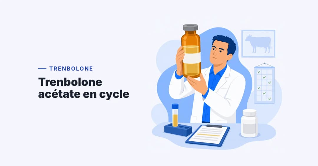 Chercheur tenant un flacon de trenbolone acétate devant une silhouette de vache au mur, presse-papiers de bilan à côté