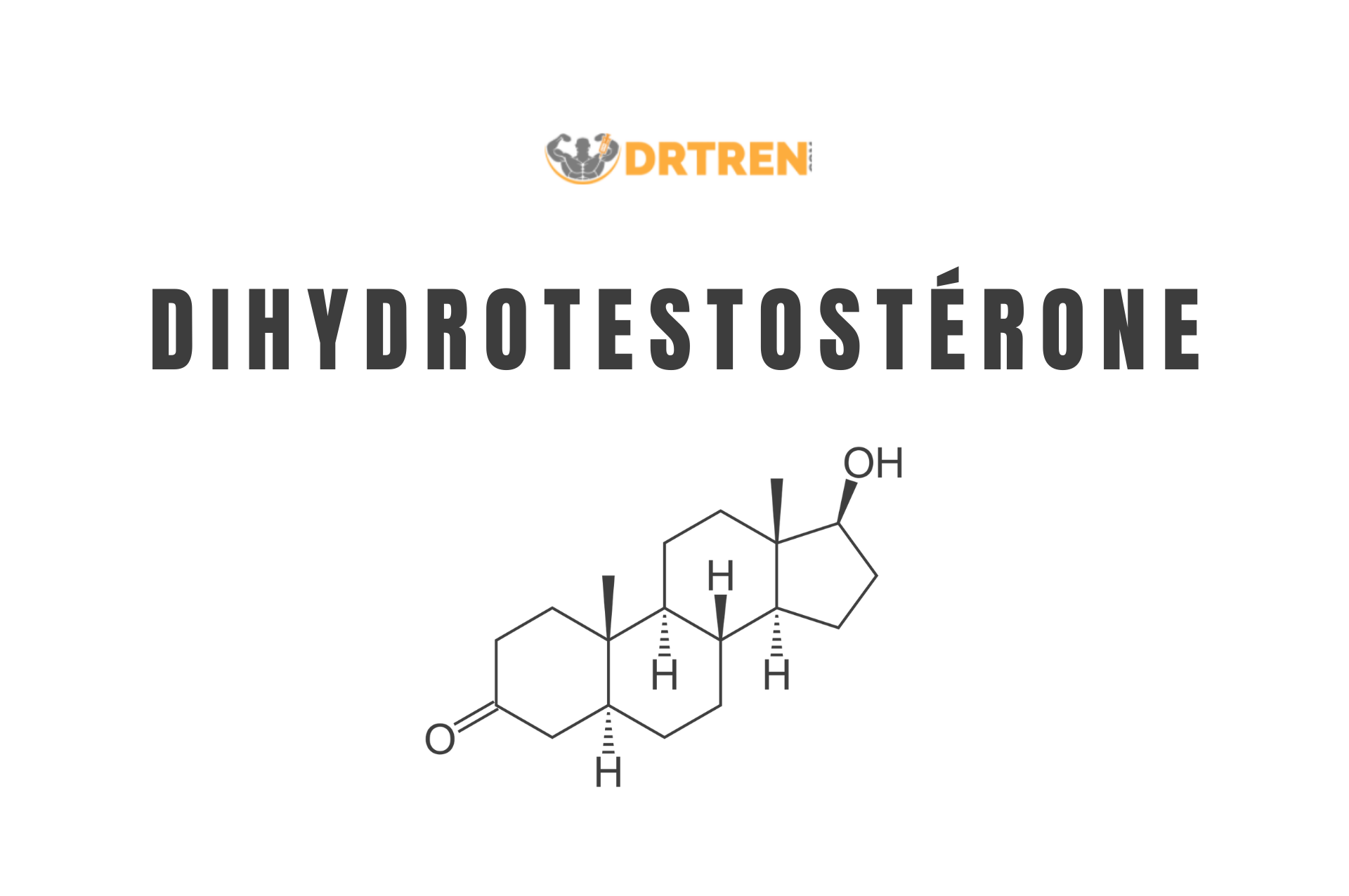 dihydrotestosterone