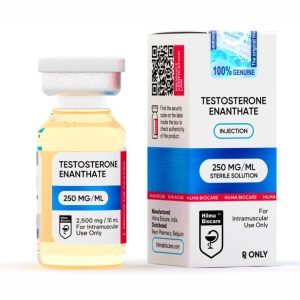 Flacon de 10 ml d'enanthate de testostérone dosé à 250 mg/ml de la marque Hilma Biocare