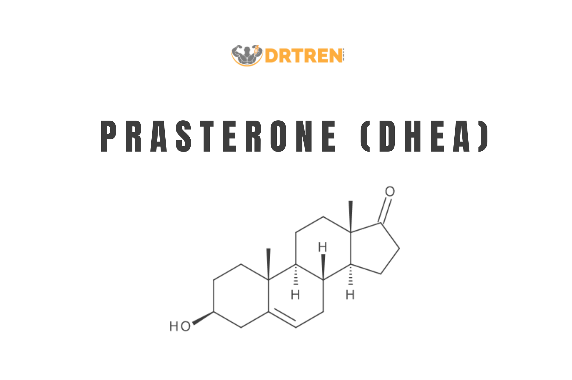 prasterone dhea