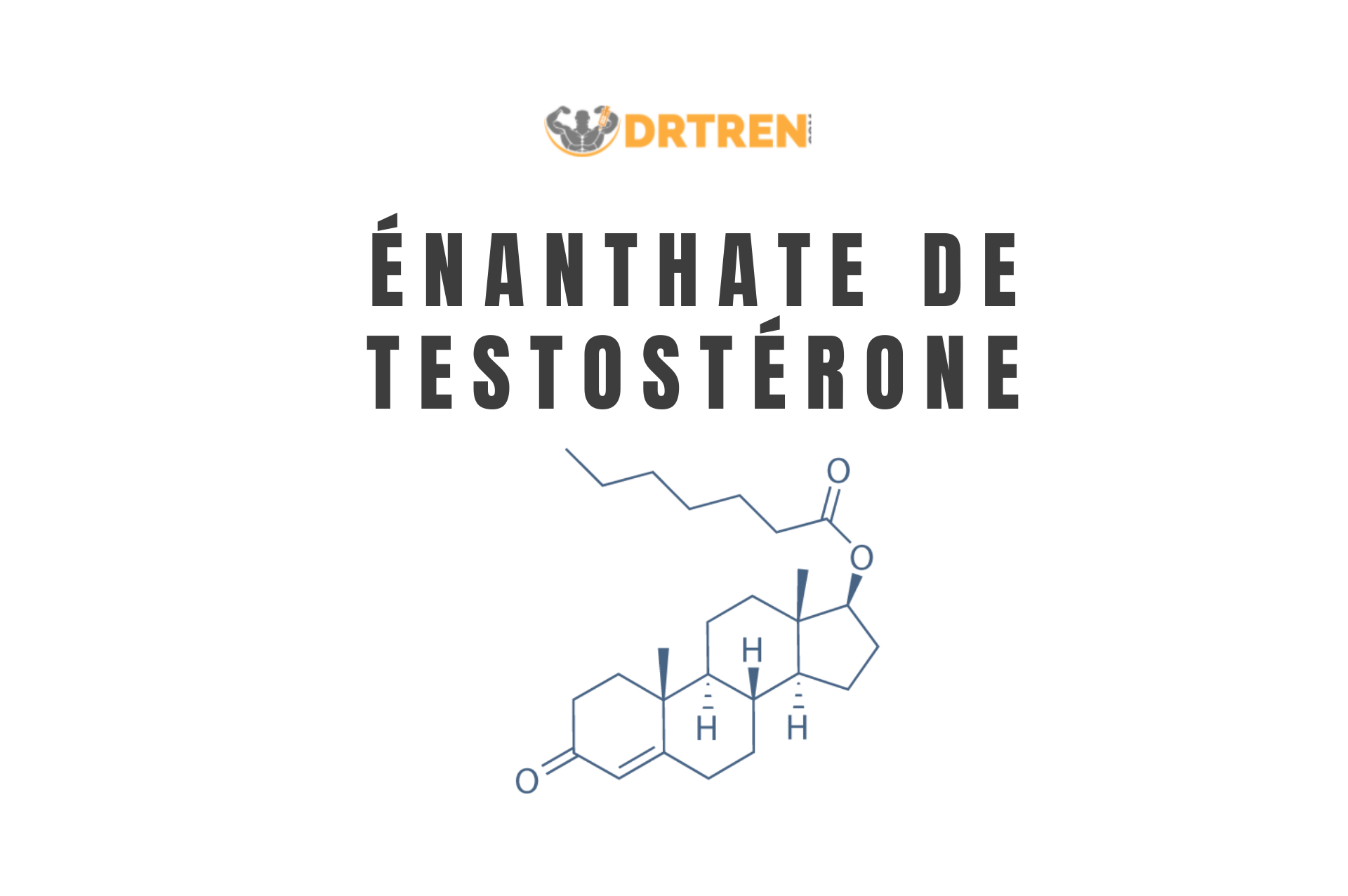 enanthate de testosterone