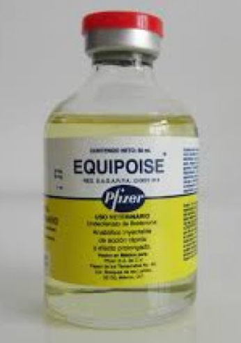 deca durabolin equipoise cycle steroide