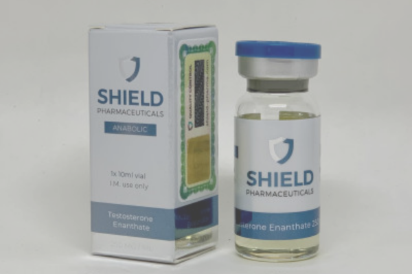 Enanthate de Testostérone Shield Pharma