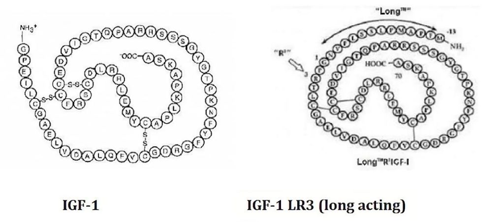 IGF-1 LR3 emballage - Peptide Driada Medical pour la croissance musculaire