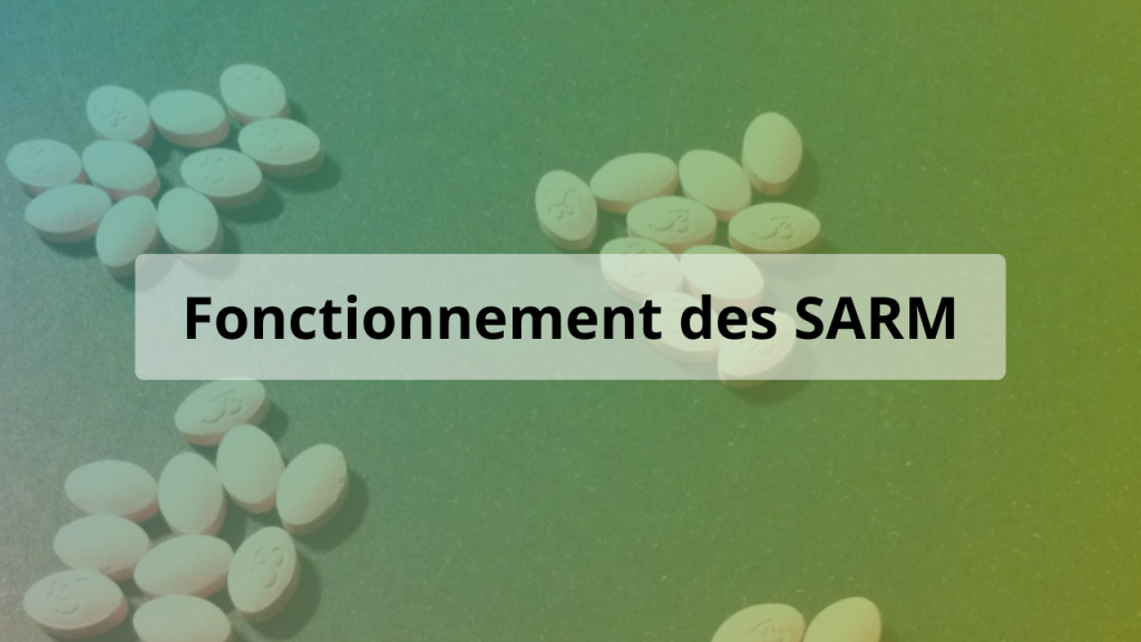 fonctionnement sarm