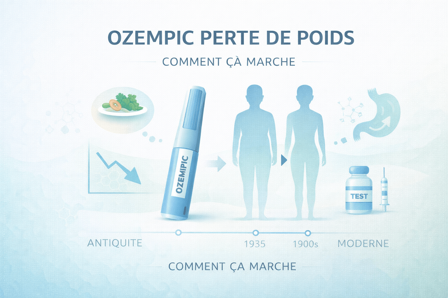 Illustration vectorielle d’Ozempic pour la perte de poids avec stylo injecteur et visuel simple expliquant son action sur l’appétit
