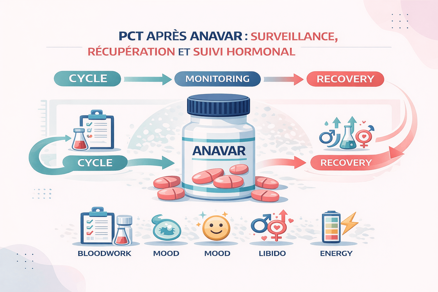 Illustration vectorielle en style Corporate Memphis montrant la PCT après Anavar, avec les principaux médicaments de relance, le bon moment pour commencer et les repères de récupération hormonale.